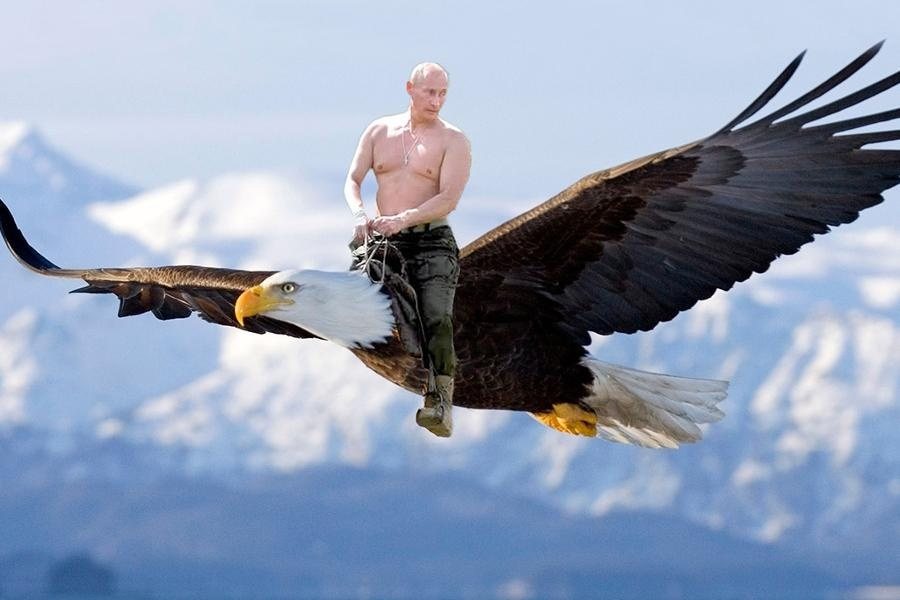 Putin hat keinen Vogel