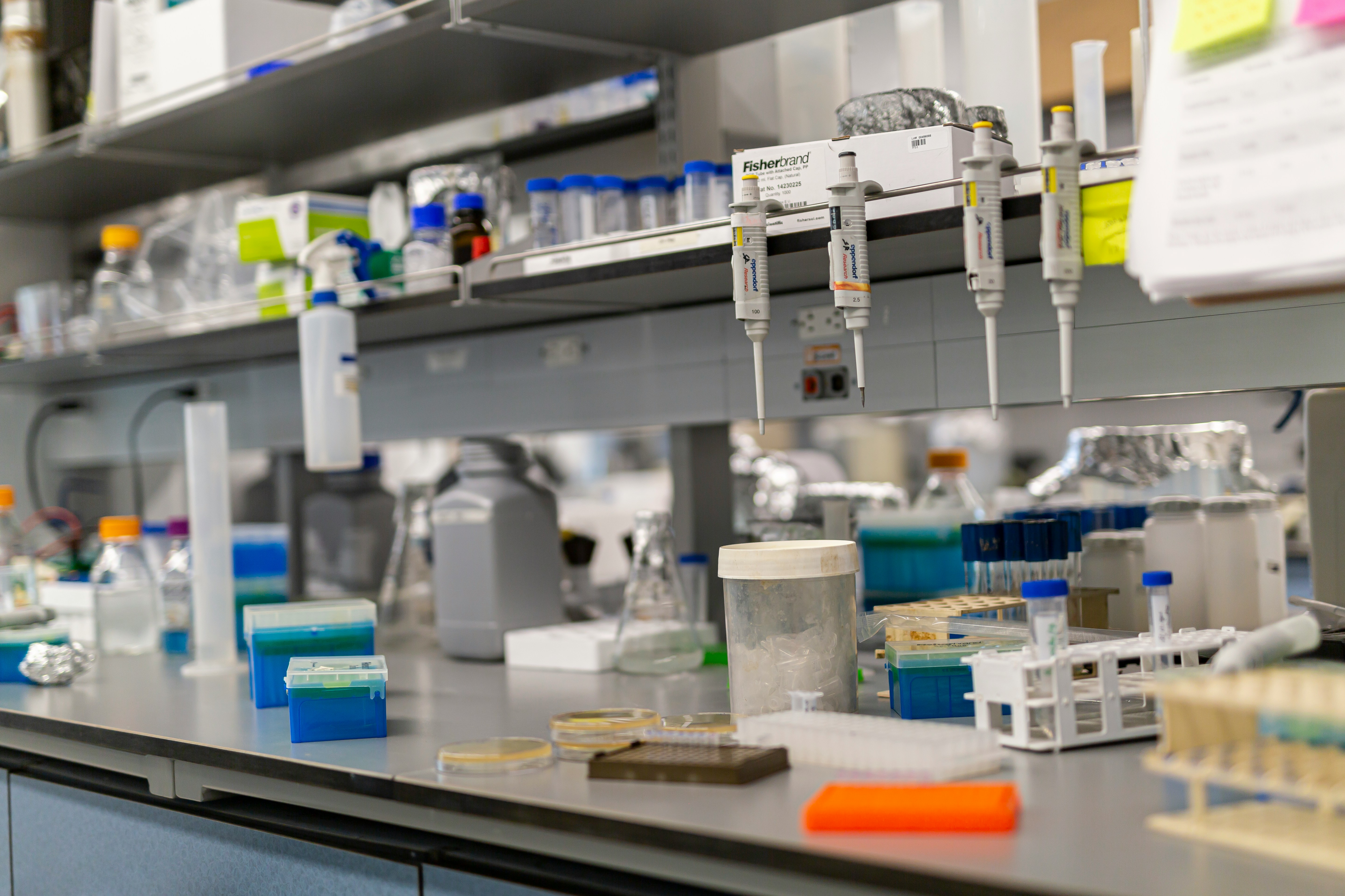 Zusammen ist man weniger allein